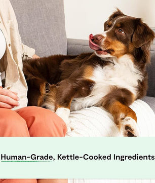 Open Farm Rustic Stews Wet Dog Food, Grain-Free, Complete & Balanced with Human-Grade Ingredients, Humanely-Raised Meat & Bone Broth, Grass-Fed Beef Recipe, 12.5oz Packs (Case of 12)