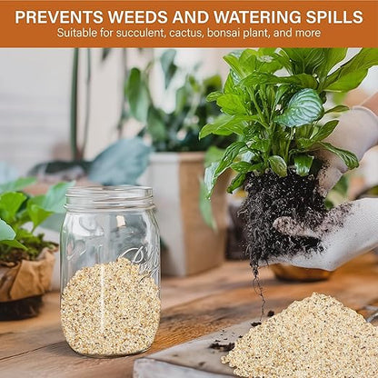 NUPICK 1mm Coarse Sand for Plants, 3lb Horticultural Grit for Succulents, Desert Silica Sand for Cactus, Decorative Gravel for Landscaping, Gold Grit for Aquariums, Bonsai, Vases Fillers