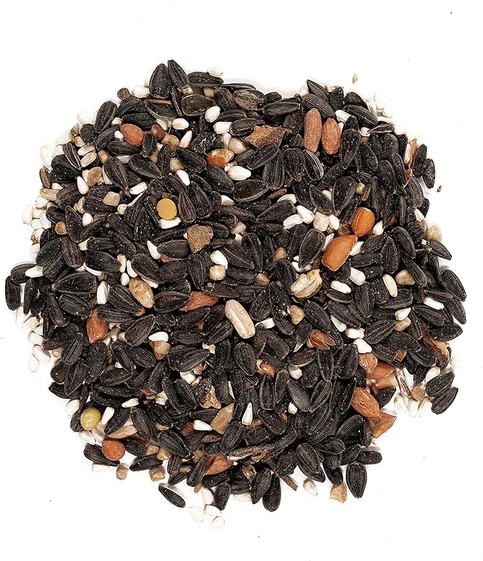 Wagner's Songbird Banquet & Safflower Seed Wild Bird Food, 5 & 10 lb