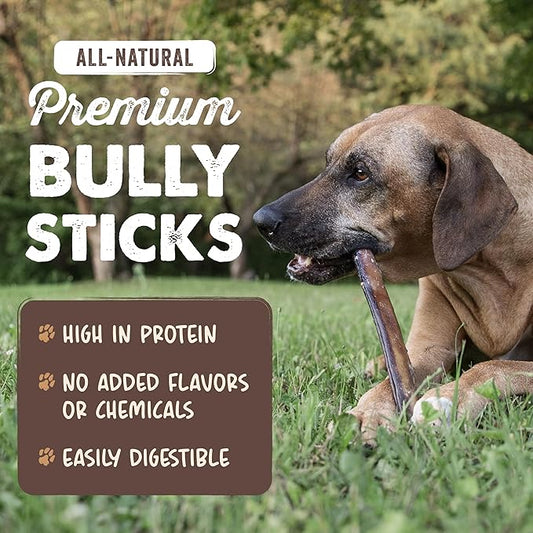 Mighty Paw Naturals Bully Sticks for Small & Medium Dogs - Grass Fed Beef Chews. Bully Sticks for Large Dogs. Lower Odor Stick Treat. Single Ingredient (12" - 10 Pack)