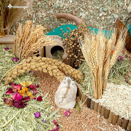 Niteangel Natural Flower & Herb Bedding Habitat Decor - for Hamsters Gerbils Mice Lemming Degus or Other Small Pets (Harvest Wind - Harvest Version)
