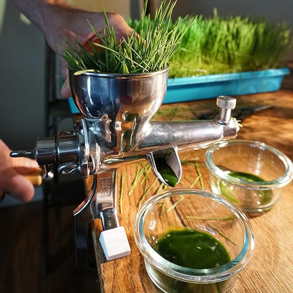 Non-GMO, Thunder Acres Premium Wheat Seed, Cat Grass Seed, Wheatgrass, Hard Red Winter Wheat (1 lbs.)