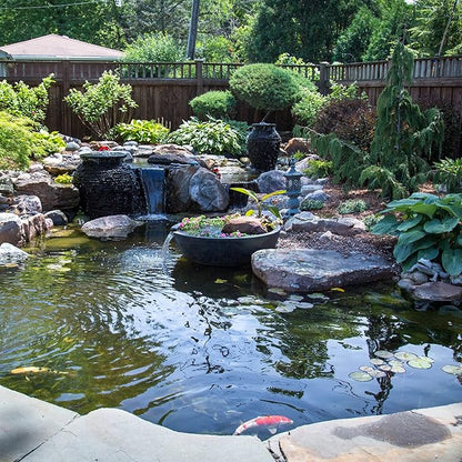 Aquascape 98900 SAB Stream & Pond Clean Water Treatment, 1.1-Pound,White