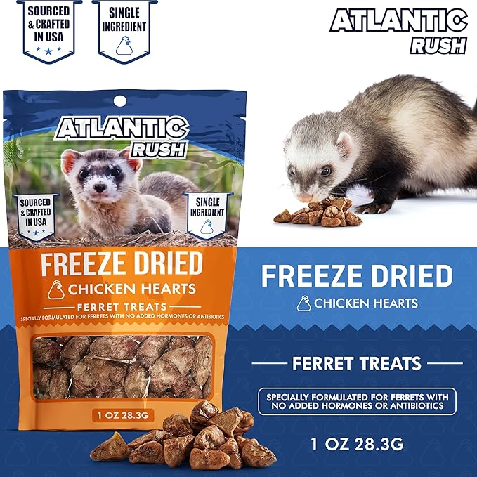 Atlantic Rush Freeze Dried Small Pet Treats - Resealable Bag of Treats for Ferrets - Single Ingredient Ferret Food with No Preservatives Or Fillers- Small Animals Treats (3-1oz, Chicken Heart)