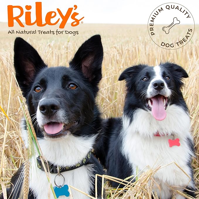 Riley's Slims Chicken Sticks for Dogs - Natural USA Sourced Dehydrated Chicken Jerky Treats, Made in The USA - 2 Pack