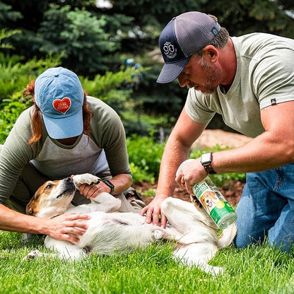 Sunday Pet Protect Flea, Tick, & Mosquito Spray – Natural, Effective Bug Spray for Dogs – Kills, Controls, Prevents Biting Pests with Cedarwood & Soybean Oil – 24 oz