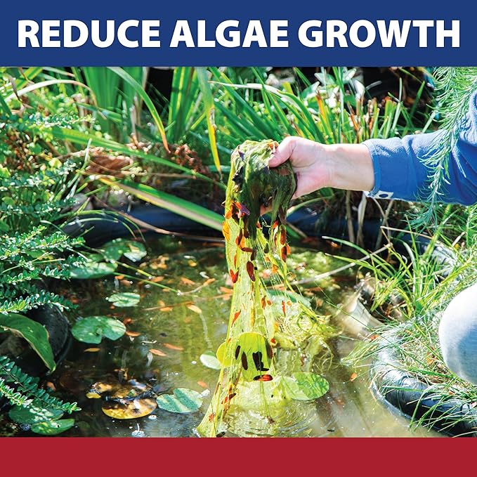 The Pond Guy InstaFix Algae Control, Outdoor Water Garden, Fountain & Birdbath Algae Solution, EPA Registered Liquid Algaecide, Control Green Water & String Algae, Bird, Fish & Pet Safe, 16 Ounce