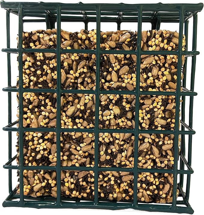 Songbird Treats Seed Bars | 12 Pack of 8 oz Bird Seed Cakes for Wild Birds (Woodpecker Crunch)