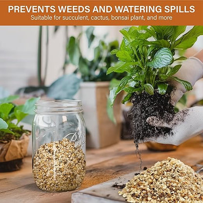 NUPICK 1-2mm Coarse Sand for Plants, 6lb Horticultural Grit for Succulents, Desert Silica Sand for Cactus, Decorative Gravel for Landscaping, Gold Grit for Aquariums, Bonsai, Vases Fillers