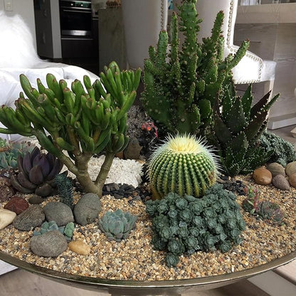 10 lbs Aquarium Gravel, 2-4mm Fish Tank Gravel, Succulent Cactus Pea Gravel for Indoor Plants, River Rocks for Gardening, Flower Pots, Vase Fillers, Garden Landscaping