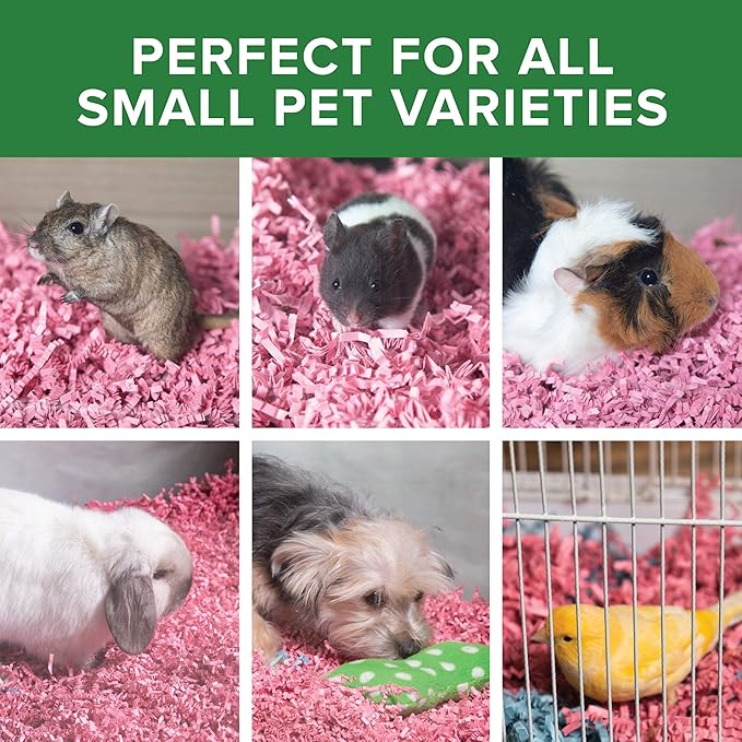 ECO BEDDING 99% Dust Free Paper Bedding for Small Pets and Birds, Pink, 3 lb (Expands to 60 L)
