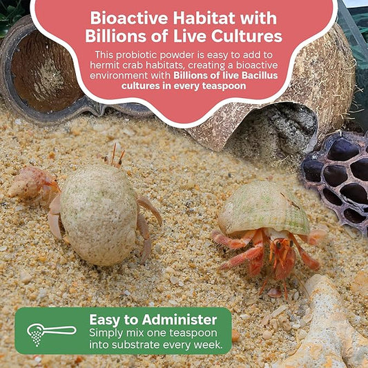 Probiotic Supplement for Hermit Crabs – 5 Billion CFU/g for Bioactive Tank Support – Gut Health and Substrate Booster – Made in USA – Safe Beneficial Bacteria for Crabitats