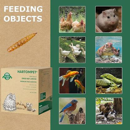 Premium Dried BSF Larvae for Chickens - 1LB High Calcium Supplement, Molting and Laying Support, Non-GMO & High-Protein Treats, Food for Wild Birds, Ducks, Repitle | Top Grade BSF