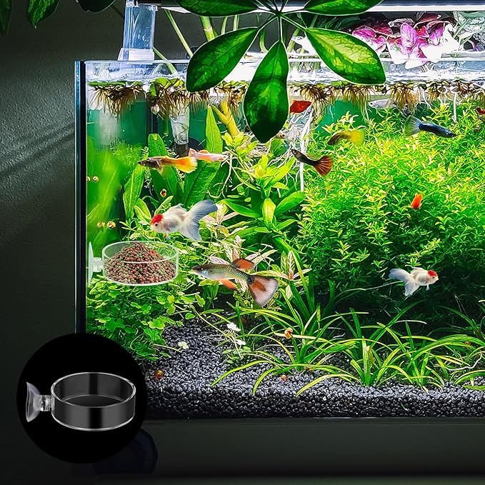 60mm Fish Tank Feeder Dish Aquarium Shrimp Feeder Dish with Suction Clear Fish Tank Feeding Bowl Round Clear Dishes Tray（2pcs）