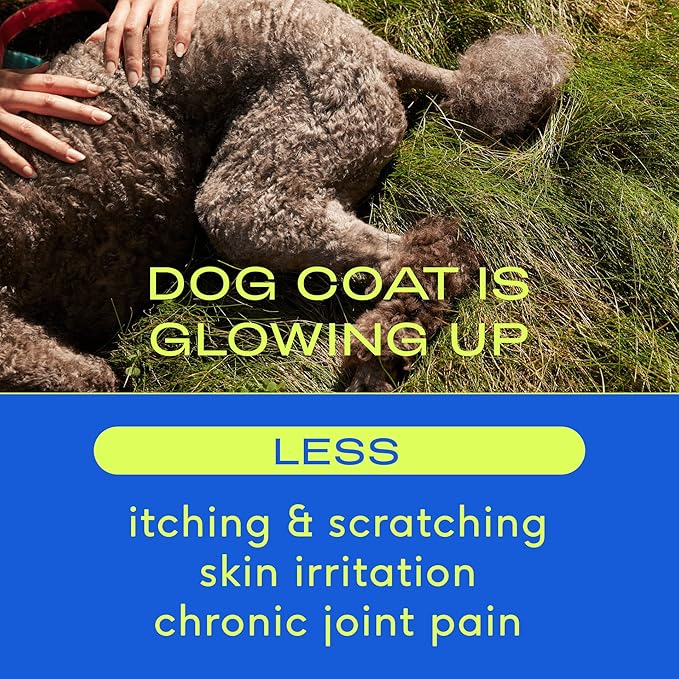 Native Pet Omega Oil for Dogs - Dog Fish Oil Supplements & Relief - Anti-Inflammatory Chews for Dogs | 60 Dog Chews | 8 oz. Omega Oil | Best Dog Arthritis Supplement & Dog Joint Pain Relief