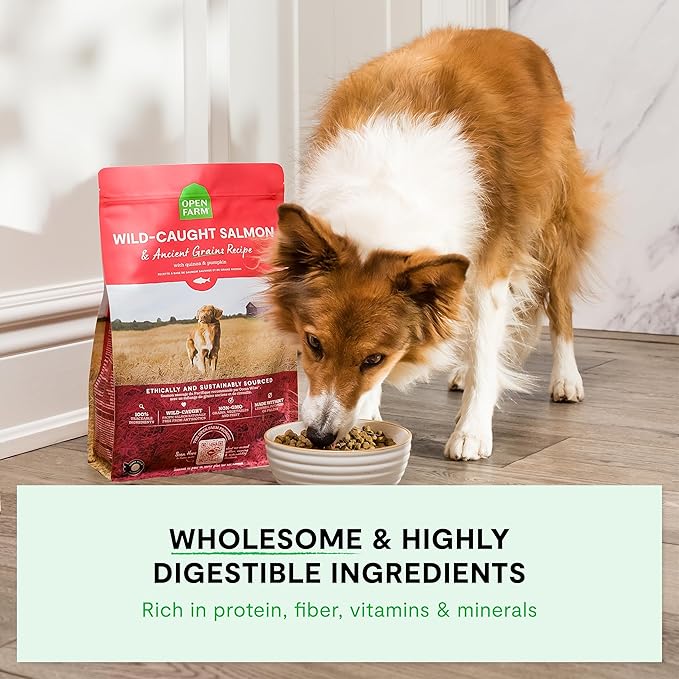 Open Farm, Ancient Grains Dry Dog Food, Protein-Rich & Nutrient Dense, 90% Animal Protein Mixed with Non-GMO Fruits, Veggies and Superfoods, Farmer's Table Pork Recipe, 4lb Bag