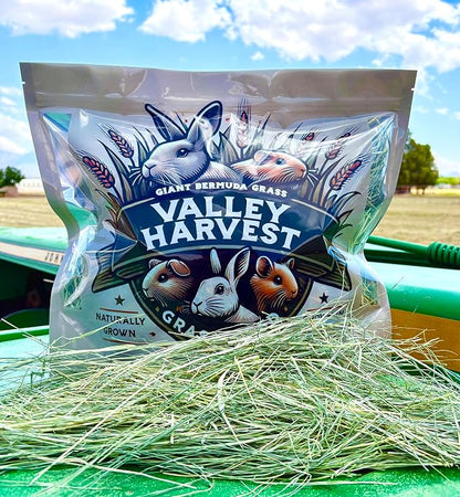 Grass Hay – Nutritious Feed for Rabbits, Guinea Pigs, Chinchillas, Tortoises & Hamsters – Natural Snack & Daily Feed for Small Pets