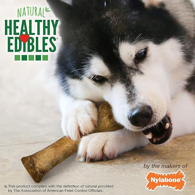 Nylabone Healthy Edibles Natural Dog Chews Long Lasting Chicken Flavor Treats for Dogs, X-Large/Souper (1 Count)