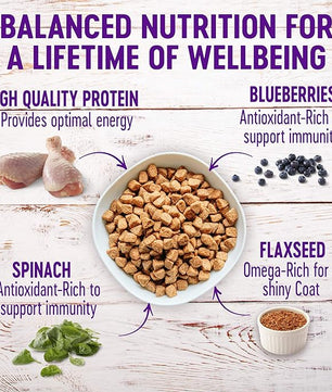 Wellness Complete Health Dry Dog Food with Grains, Natural Ingredients, Made in USA with Real Meat, All Breeds, For Adult Dogs (Healthy Weight - Chicken & Potatoes, 26-Pound Bag)