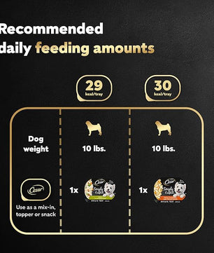 Cesar Simply Crafted Adult Wet Dog Food Meal Topper, Chicken, Carrots, Potatoes & Peas and Chicken, Sweet Potato, Apple, Barley & Spinach Variety Pack (8 Count, Pack of 2)