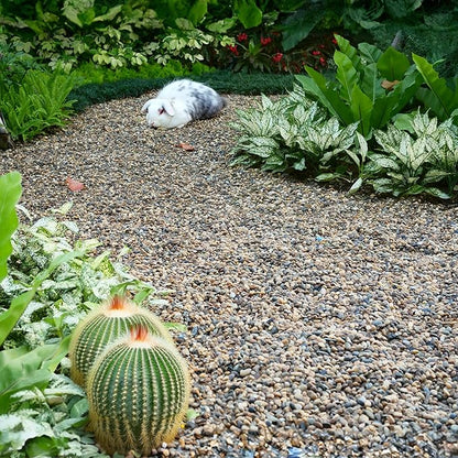 10 lbs Aquarium Gravel, 2-4mm Fish Tank Gravel, Succulent Cactus Pea Gravel for Indoor Plants, River Rocks for Gardening, Flower Pots, Vase Fillers, Garden Landscaping