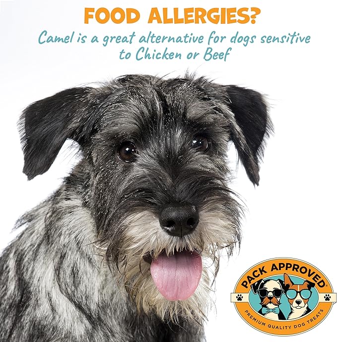 6" Braided Camel Sticks - Long Lasting Dog Chews for Aggressive Chewers - Rawhide Alternative, Grain Free, One Ingredient Dog Treats - Great for Dog Dental Care - (10 Pack)