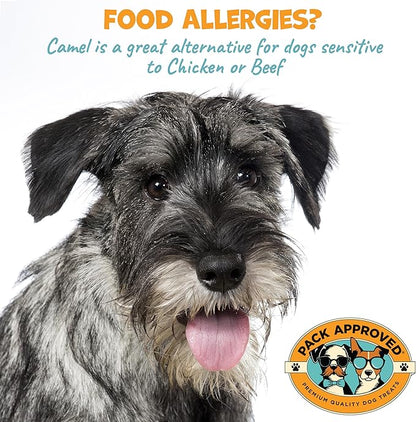 Camel Skin Dog Chews for Aggressive Chewers - Hypoallergenic Natural Collagen Sticks for Dental Health & Protein Boost - Long Lasting Treats for Large Dogs