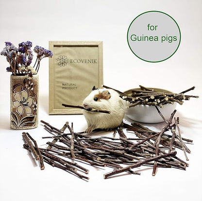 ECOVENIK Apple Sticks 120 gram Rabbit & Hamster Chew Toys - 100% Natural & Organic Chinchilla Food, Treats for Guinea Pig, Squirrels, Parrots & Other Small Animals (Made in Ukraine)