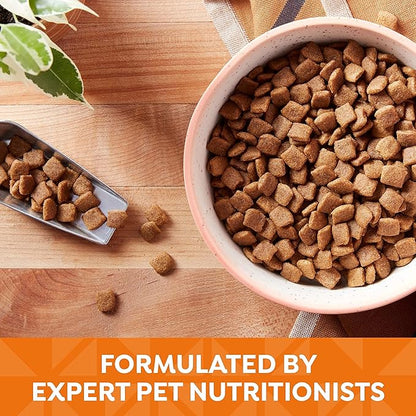 Nature's Recipe Grain Free Dry Dog Food, Chicken, Sweet Potato & Pumpkin Recipe, 12 lb. Bag