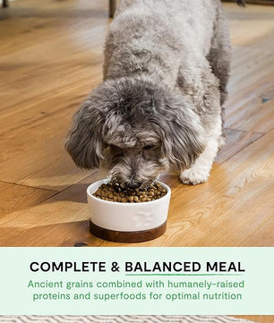 Open Farm, Ancient Grains Dry Dog Food For Small Breeds, Protein-Rich & Nutrient Dense, 90% Animal Protein With Non-GMO Fruits, Veggies and Superfoods, Chicken & Turkey Recipe For Small Dogs, 11lb Bag