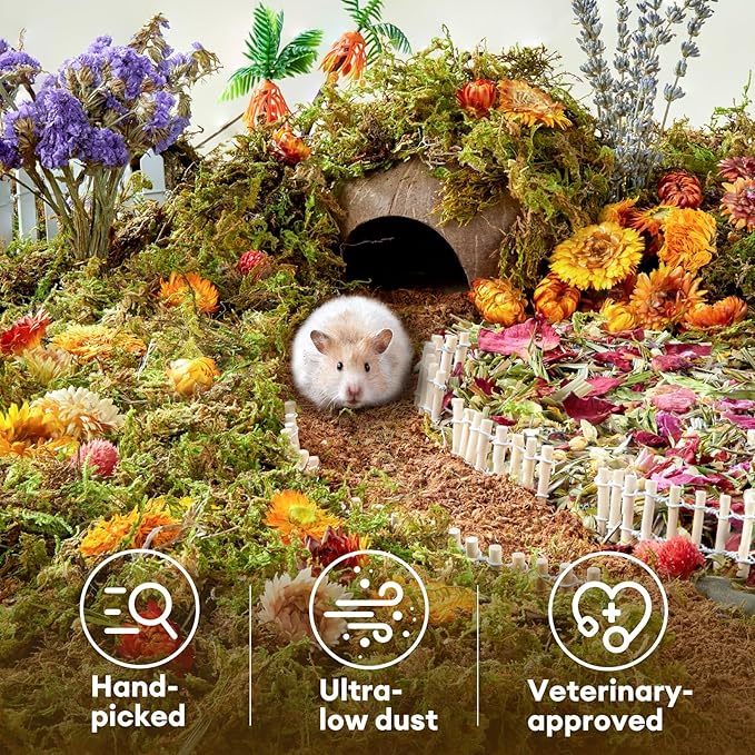 BUCATSTATE 5L Hamster Bedding, Natural Forest Moss Hamster Bedding Odor Control, Nature Hamsters Substrate Cage Accessories for Dwarf Syrian Hamsters, Mice, Gerbils (Dried Moss)