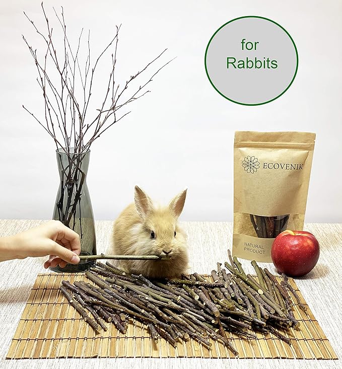 ECOVENIK Apple Sticks 120 gram Rabbit & Hamster Chew Toys - 100% Natural & Organic Chinchilla Food, Treats for Guinea Pig, Squirrels, Parrots & Other Small Animals (Made in Ukraine)