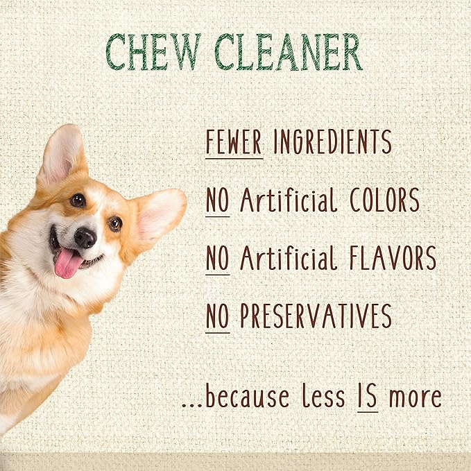 Nylabone Nutri Dent Dog Dental Chews - Natural Dog Teeth Cleaning & Breath Freshener - Dental Treats for Dogs - Fresh Breath Flavor, Medium (20 Count)