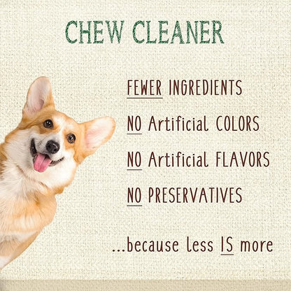 Nylabone Nutri Dent Dog Dental Chews - Natural Dog Teeth Cleaning & Breath Freshener - Dental Treats for Dogs - Fresh Breath Flavor, Medium (20 Count)