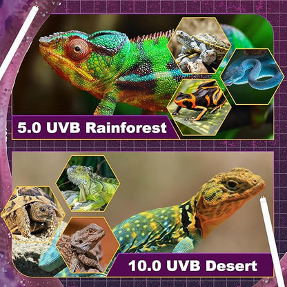 5.0 UVB Light for Reptiles, T5 HO 39 Watt Reptile Lamp Tube, Pack of 2 Fluorescent UVB Bulb, Basking Light for Bearded Dragon, Simulate Natural Sunlight for Reptiles and Amphibians