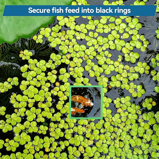 Bewudy 10PCS Fish Feeding Rings Sets, Aquarium Floating Plant Corral Fish Tank Feeding Circle Aquarium Feed Circle Round Feeder Ring Square Floating Plant Ring for Intercepts Float Plants(Green)