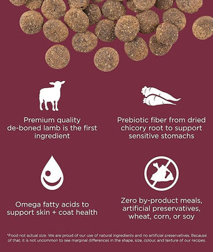 Go! Solutions Sensitivities Limited Ingredients, Grain-Free Dry Dog Food, Lamb Recipe for Sensitive Stomach, 12 lb Bag