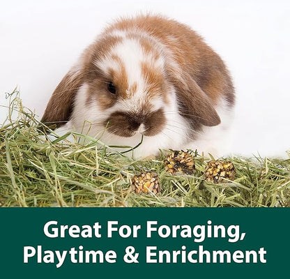 Kaytee Granola Bites with Superfoods Spinach and Carrot for Rats, Mice, Hamsters, Gerbils, Rabbits, Guinea Pigs and Chinchillas, 4.5oz