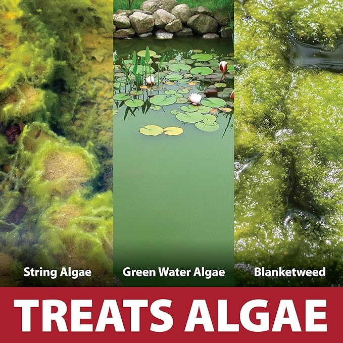 The Pond Guy InstaFix Algae Control, Outdoor Water Garden, Fountain & Birdbath Algae Solution, EPA Registered Liquid Algaecide, Control Green Water & String Algae, Bird, Fish & Pet Safe, 16 Ounce