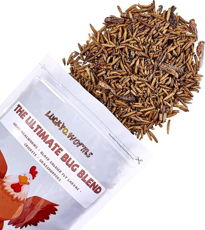 Dried Insect Trail Mix for Chickens - High Protein 42% & Calcium 1.1% for Egg Laying - Natural Treat for Birds, Reptiles, Ducks, Hedgehogs - 1 Lbs Resealable Bag