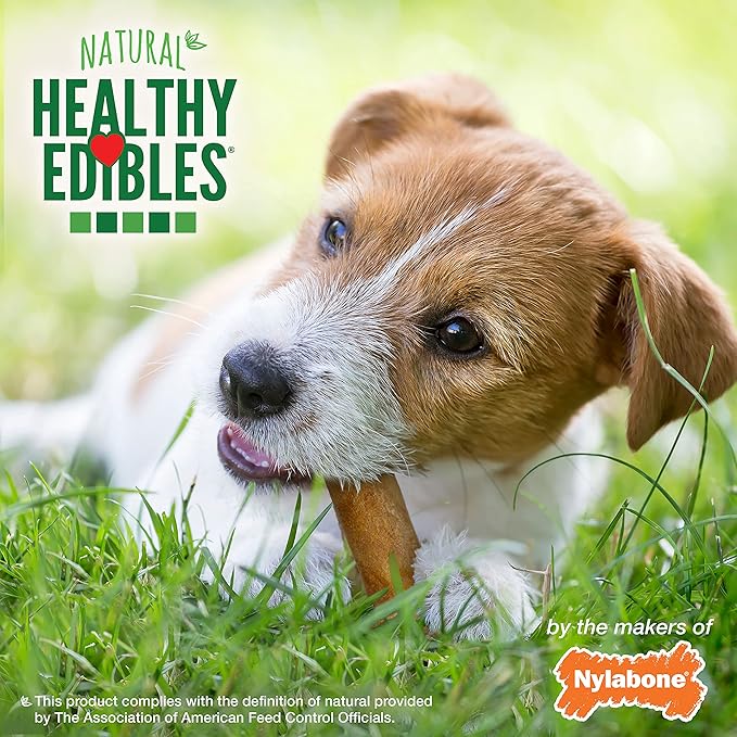 Nylabone Healthy Edibles Natural Dog Chews Long Lasting Bacon Flavor Treats for Dogs, Small/Regular (3 Count)