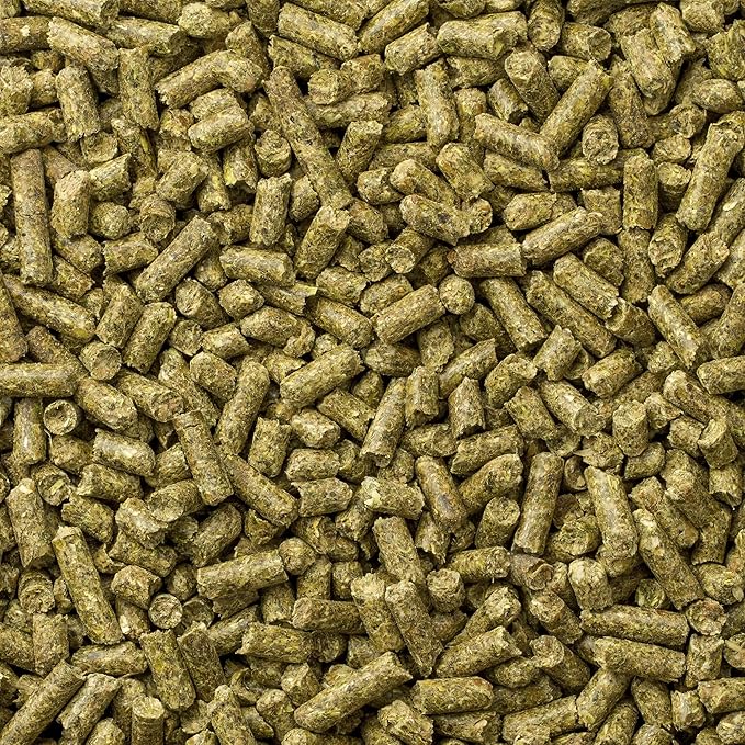 Mazuri Chinchilla Food | 2.5 Pound (2.5 lb.)