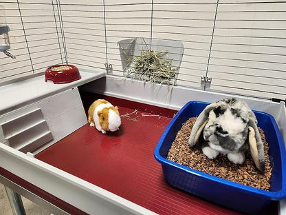 Small Animal Bedding – 20 Liter – Natural Coco Chip Substrate with Activated Charcoal Odor Control – for Chicken Coop, Rabbit Cage, Hamster Habitat, Reptile Terrarium & Snake Tank