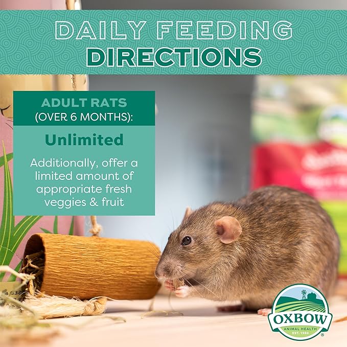 Oxbow Essentials Rat Food, Pet Food for Adult Rats, All-Natural Vitamin & Mineral Rich Formula, Veterinarian Recommended, Oxbow Animal Health, Rodent Pellets, Made in USA, No Artificials, 3 lb. Bag