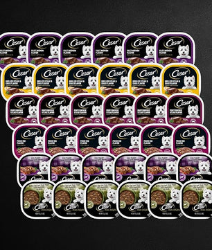 Cesar Wet Dog Food Steak Lovers Variety Pack with Real Meat, 3.5 oz. Trays (36 Count, Pack of 1)