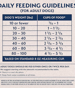 Natural Balance Limited Ingredient Adult Dry Dog Food with Healthy Grains, Reserve Duck & Brown Rice Recipe, 4 Pound (Pack of 1)