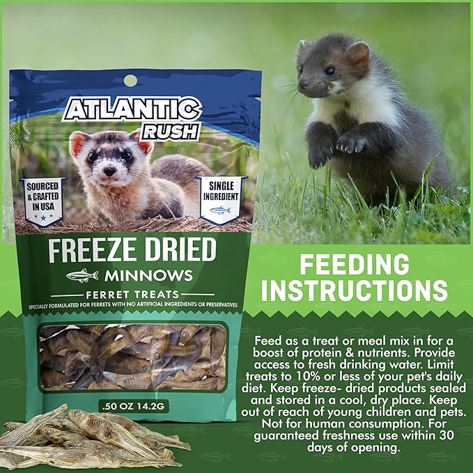 Freeze Dried Small Pet Treats - Resealable Bag of Treats for Ferrets - Ferret Snacks - Single Ingredient Ferret Food With No Preservatives Or Fillers- Small Animals Treats (.5oz, Minnow)
