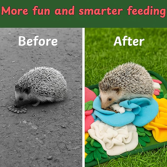 Foraging Mat for Hedgehog Enrichment Toys, Hedgehog Toys for Cage, Interactive Feeding Toy for Small Pet, Rabbit Foraging Mat, Hedgehogs Accessories, Guinea Pig Toy (Green, 17.7x9.8in)