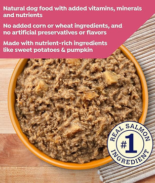 Nature's Recipe Grain Free Salmon, Sweet Potato, and Pumpkin Recipe Wet Dog Food, 13 oz. Can, 12 Count