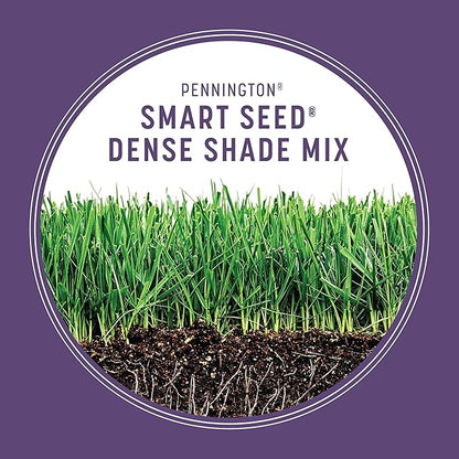 Pennington Smart Seed Dense Shade Grass Mix Bag 7 lb